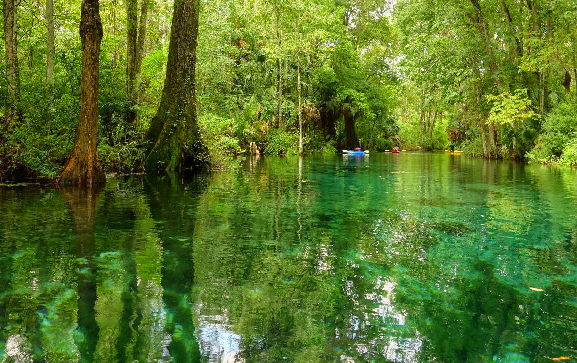 silver springs state park