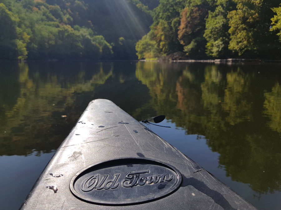 old town canoe