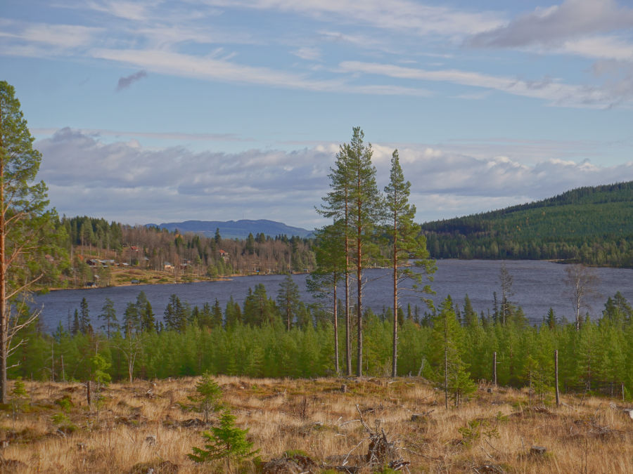 dalarna sweden canoe tour