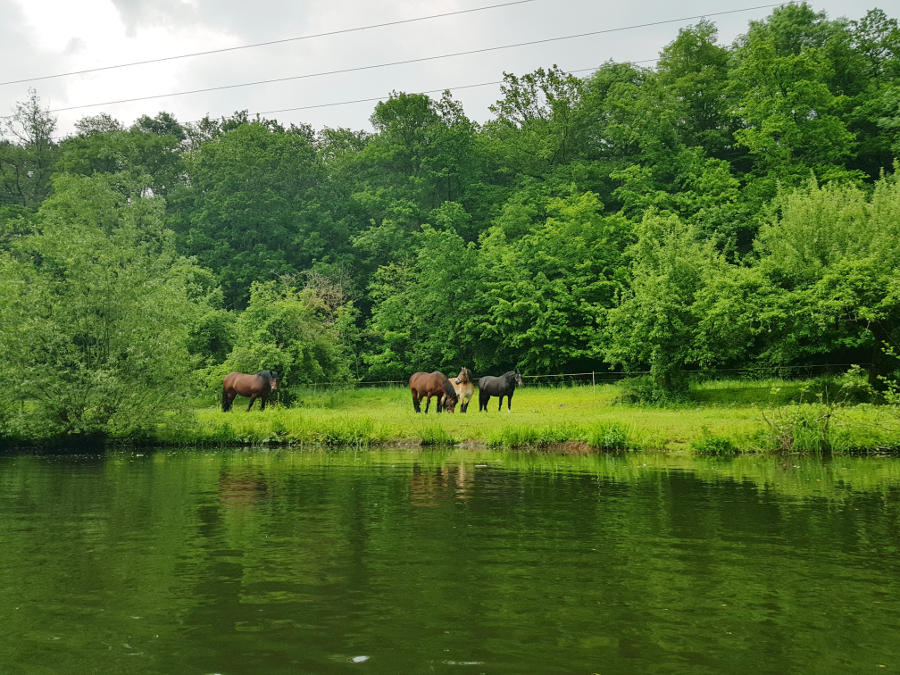 nature outdoor germany