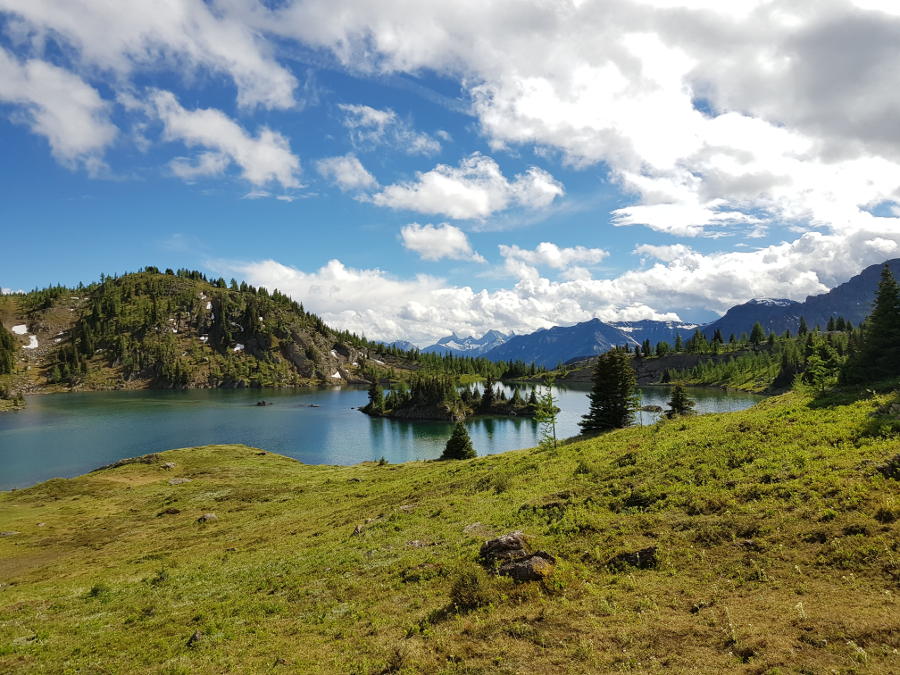 sunshine meadows trail